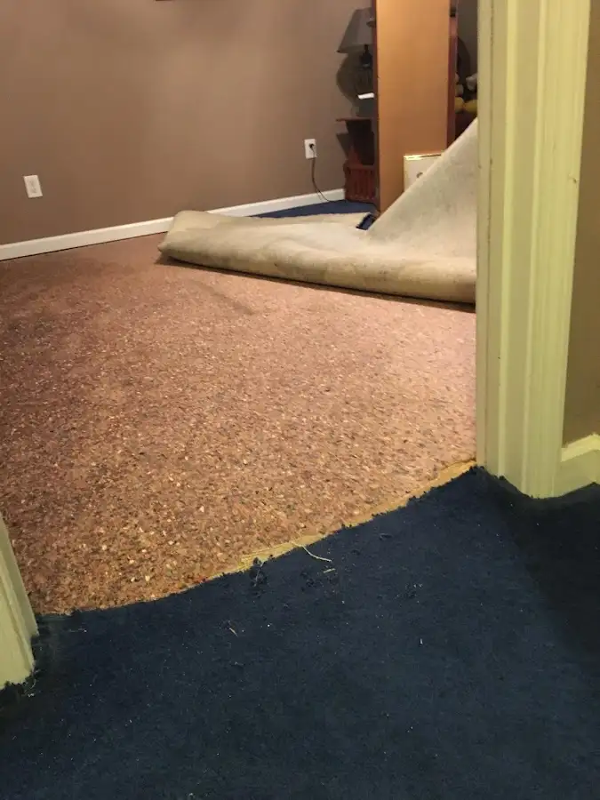 Carpet pad removal revealing water damage during Water Mitigation Services in Alamo Heights