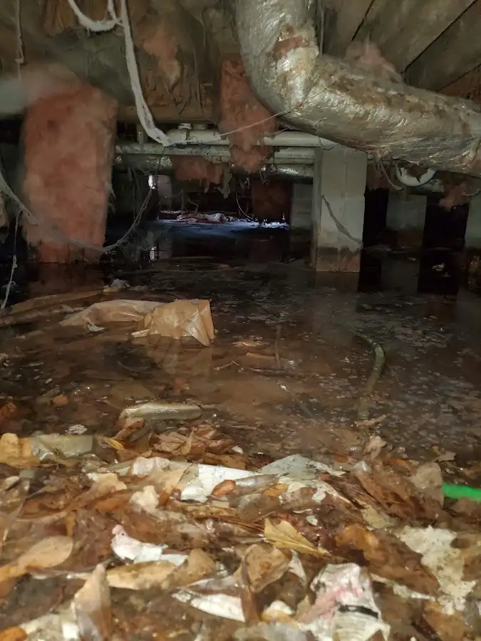 Crawl space flood assessment for Commercial Water Damage Restoration in Alamo Heights