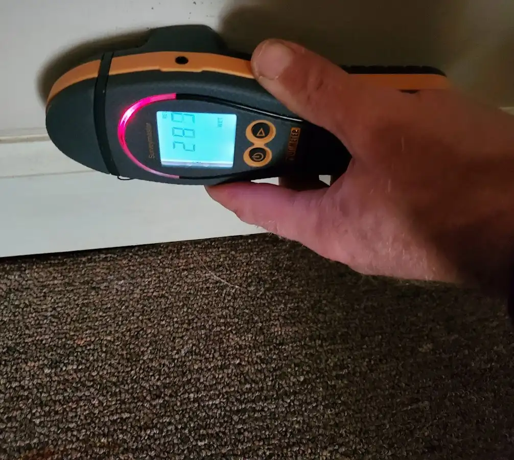 Moisture detection at baseboard during Sewage Cleanup & Sanitation in Alamo Heights